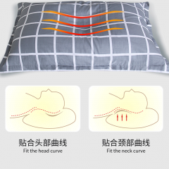 荞麦枕头单人宿舍荞麦皮枕芯成人硬护颈椎助睡眠家用男女全壳夏凉